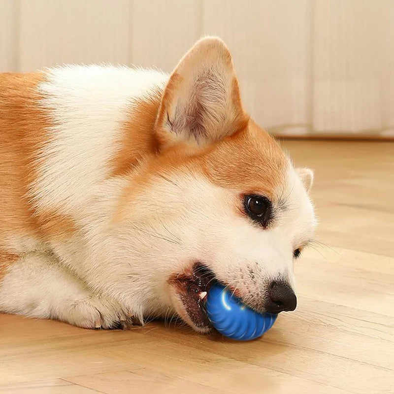 Smart USB Jumping Dog Chew Ball