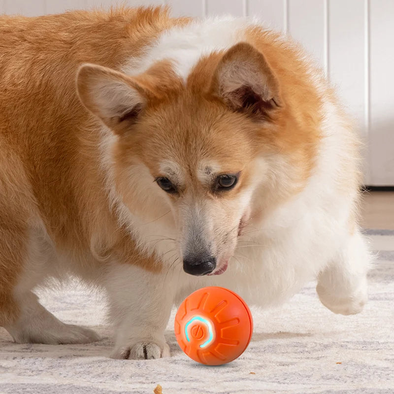 Smart USB Jumping Dog Chew Ball