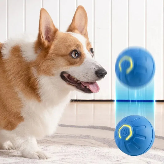 Smart USB Jumping Dog Chew Ball