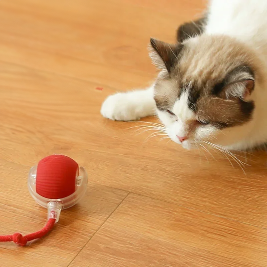 Interactive Pet Toy Ball